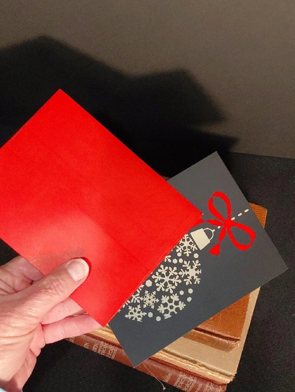 BROTHER SISTER DESIGN STUDIO CHRISTMAS HOLIDAY GREETING CARDS